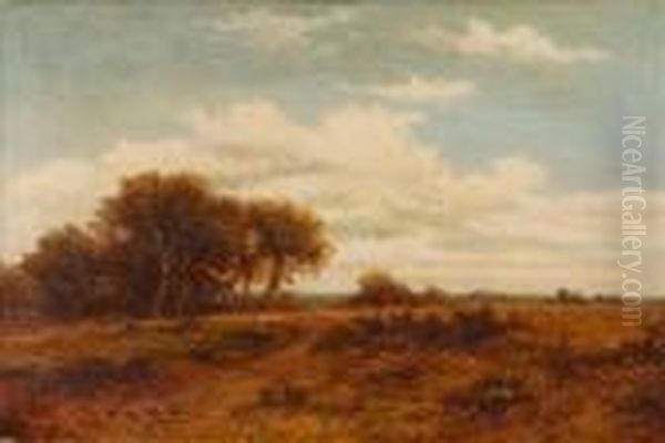 Moorland Landscape - view 1
