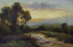 Schafherde In Landschaft