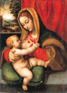 The Madonna and Child by Andrea Solario