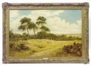 Clouds Racing Across A Heathland Landscape by Daniel Sherrin