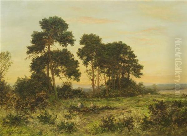 Landscape - view 1
