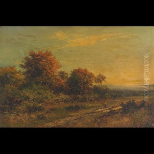 The Path Across The Common - view 1