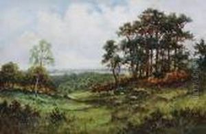 Sheep Grazing In A Wooded Landscape Sheep Grazing In A Wooded Landscape