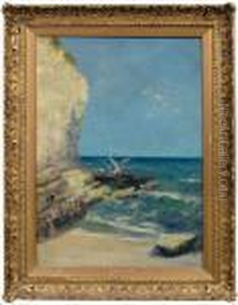 The Haunt Of The Seabirds - view 1