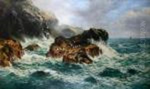 Coastal Scene With Seagulls On A Rock
