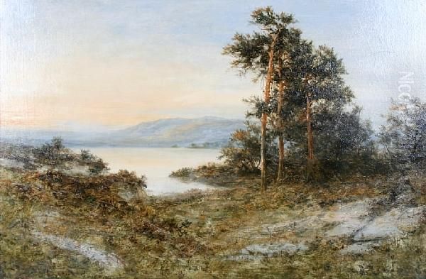 Summer By The Loch - view 1
