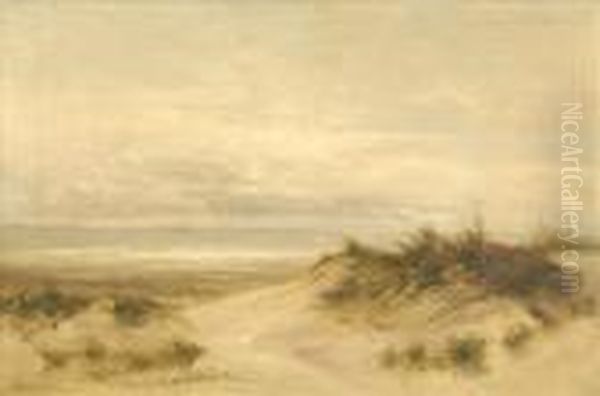 Coastal Scene Withsand Dunes And Gulls - view 1