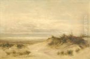 Coastal Scene Withsand Dunes And Gulls by Daniel Sherrin
