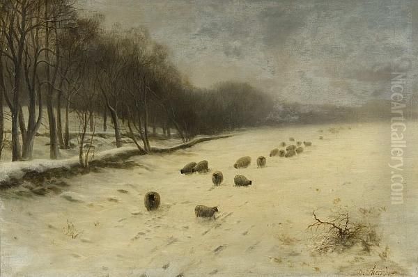 Sheep In A Snowy Landscape - view 1