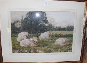 Sheep In A Meadow Sheep In A Meadow