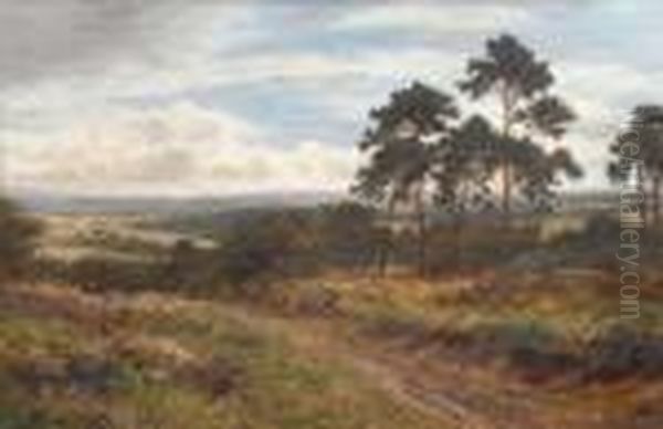 Autumn Days, Surrey - view 1