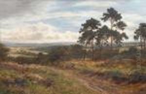 Autumn Days, Surrey