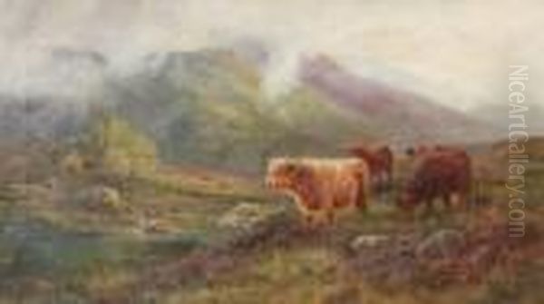 In The Scottish Highlands - view 1