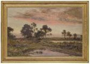 Evening On The Common - After Rain