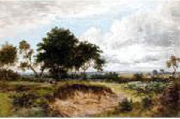 A Summer's Day - view 1