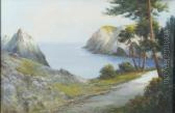 Coastal Road - view 1