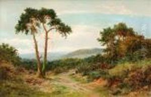 Reigate Heath,surrey by Daniel Sherrin