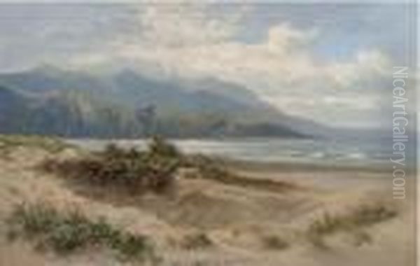 Sand Dunes By The Sea - view 1
