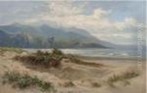 Sand Dunes By The Sea by Daniel Sherrin