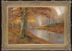 Autumnal Beeches By A Tranquil River