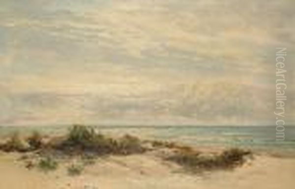 Sand Dunes - view 1