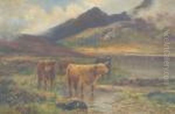 Highland Cattle In A Loch - view 1