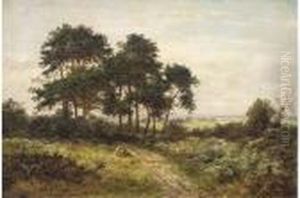 A Summer's Day, Hindhead, Surrey A Summer's Day, Hindhead, Surrey