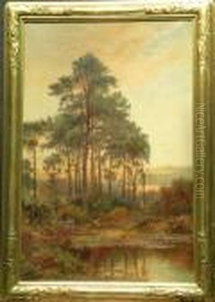 Pinewoods, Oxshot - view 1