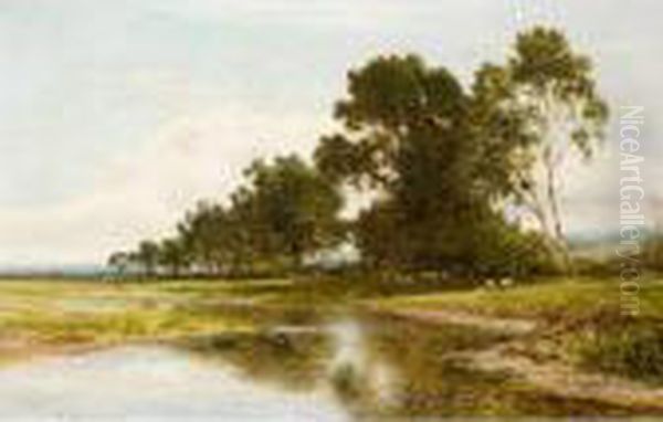 River Landscape - view 1