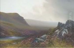 Rain Clearing, Belstone Moors, Dartmoor (illustrated); And Cawsandbeacon, Dartmoor by Daniel Sherrin