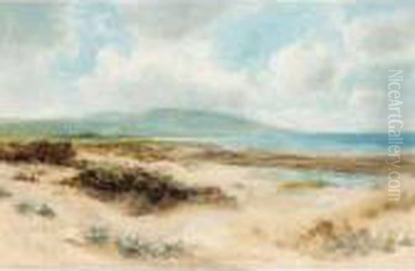 Sand Dunes - view 1