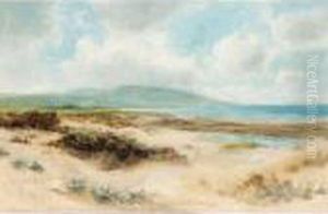 Sand Dunes by Daniel Sherrin