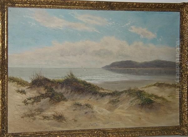 A Tranquil Coastal View - view 1