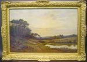 Reigate Common