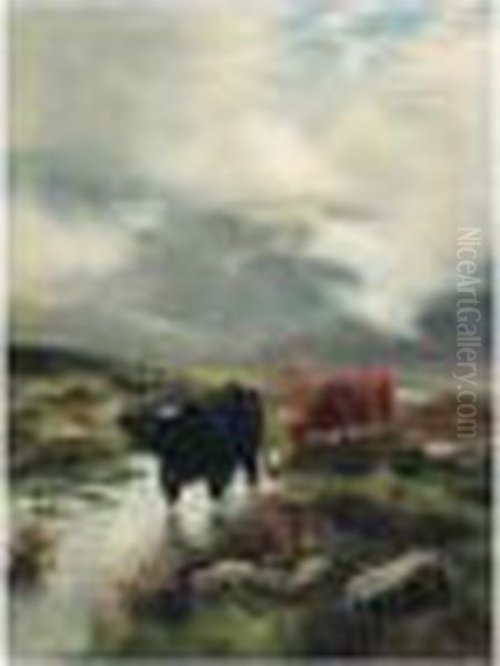Misty Sunshine - view 1