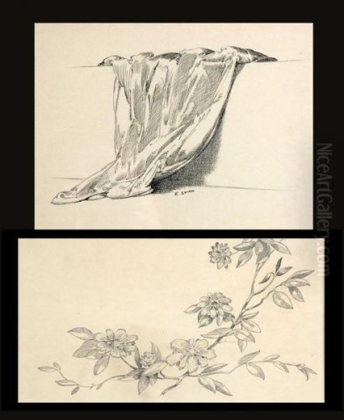 "consider The Lilies Of The Field" - view 1