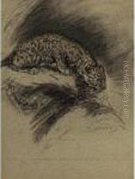 Leopard - view 1