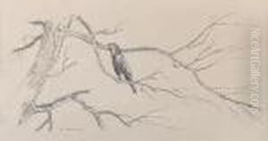 Behold The Fowls Of The Air