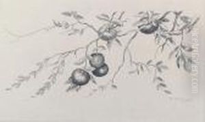 Wherefore, By Their Fruit, Ye Shall Know Them