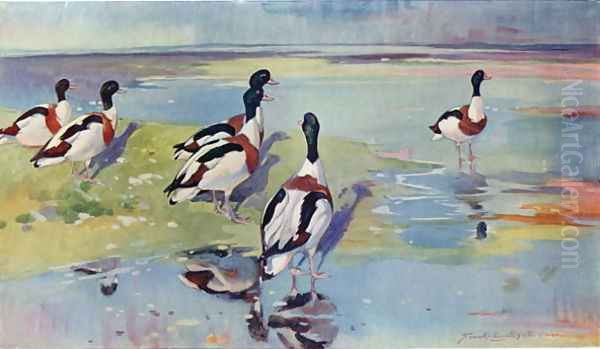 Shelducks on the Flats, illustration from Wildfowl and Waders - view 1