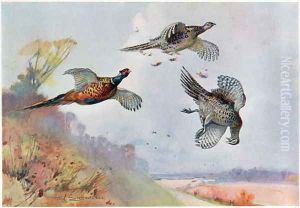 High Pheasants, illustration from Wildfowl and Waders