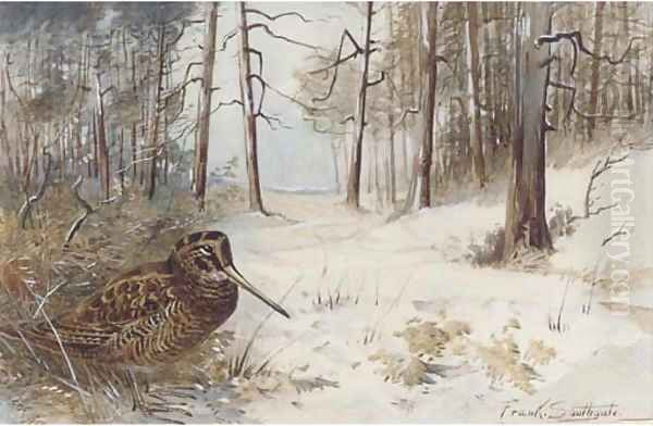 Woodcock in winter - view 1