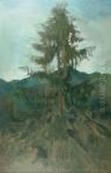 Samotny Swierk - view 1