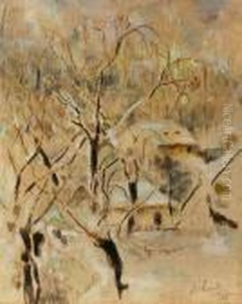 Drzewa W Sniegu - view 1