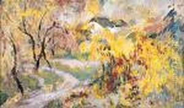 Pejzaz Jesienny - view 1