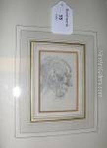 Portrait Of An Old Man Portrait Of An Old Man