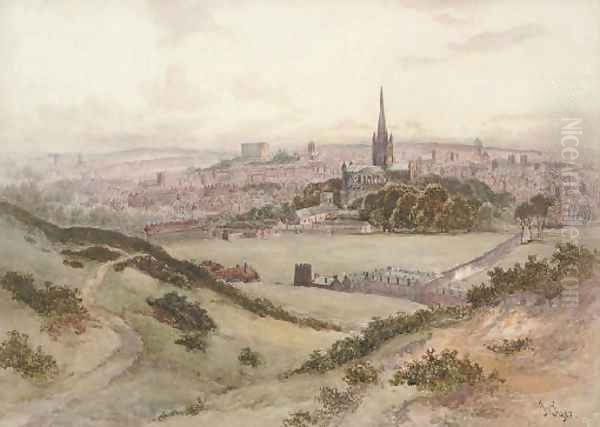 An extensive view of Norwich - view 1