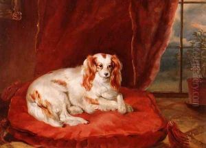 A Cavalier King Charles Spaniel Lying on a Red Cushion by Arthur J. Stark