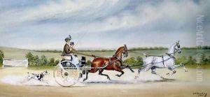 Driving the Tandem Cart, 1905 by Henry William Standing