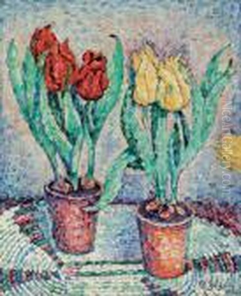 Fleurs - view 1